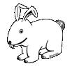 Bunny Sketches